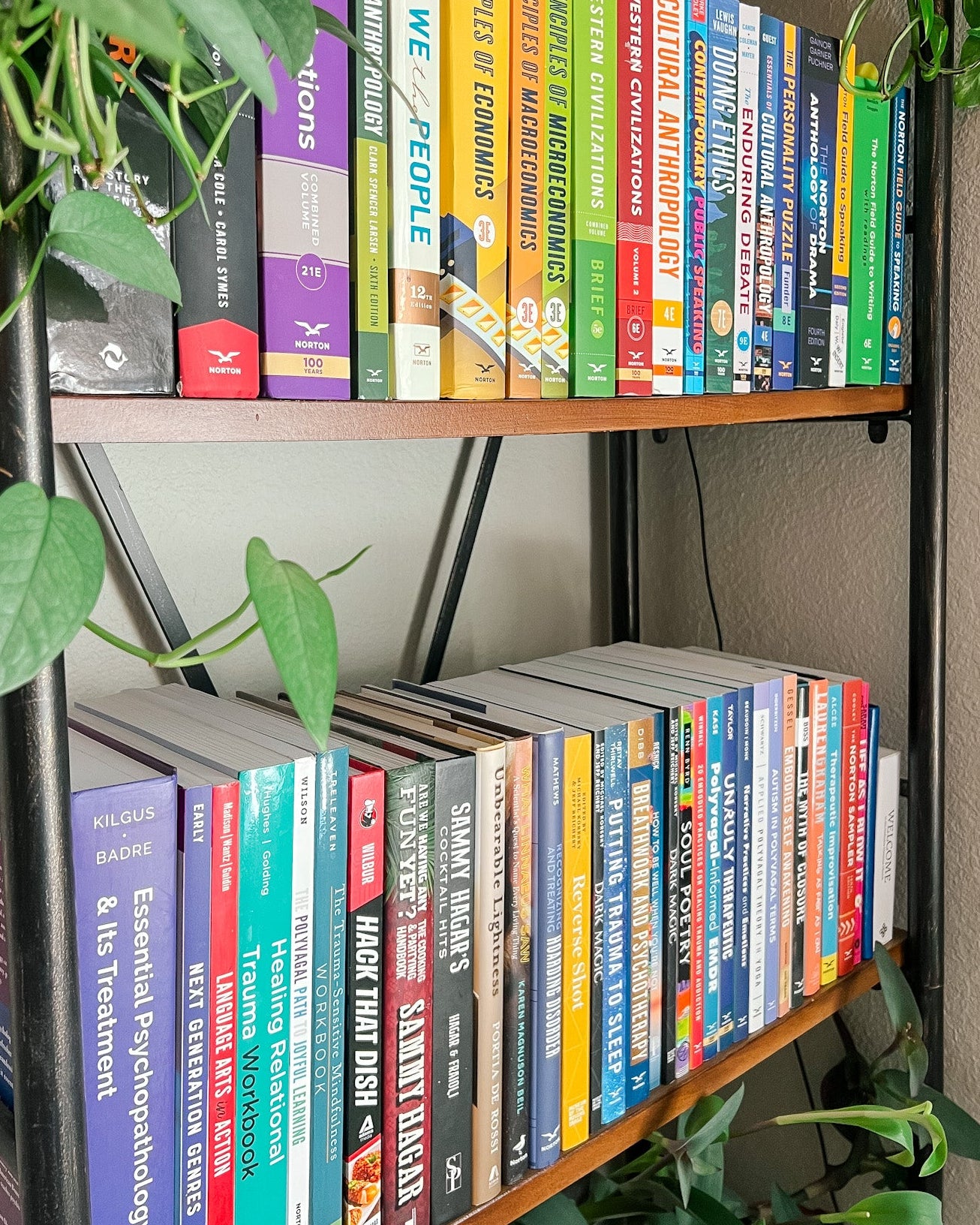 A black metal bookshelf with two wooden shelves filled with colorful books, decorated with green trailing houseplants. The spines of the books show various titles and colors, creating a vibrant multicolor pattern against the black frame of the shelf. These are books Jen Montgomery has designed.