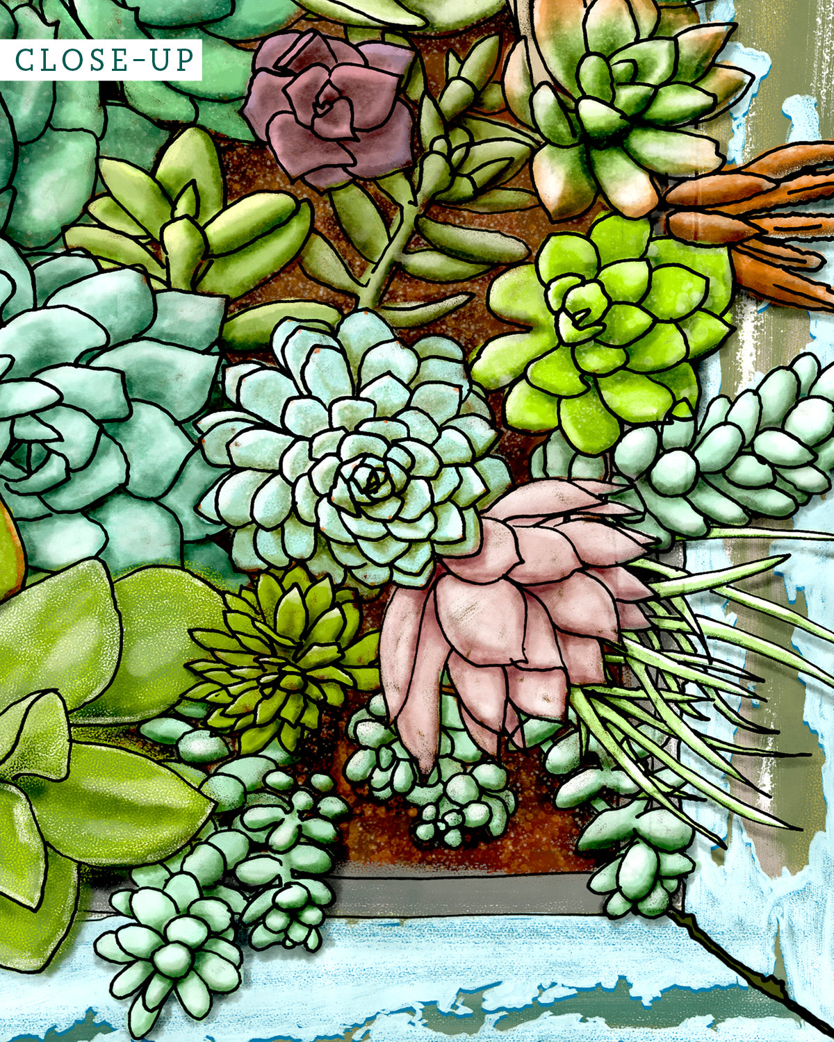 Close-up of succulent living wall art by Jen Montgomery.