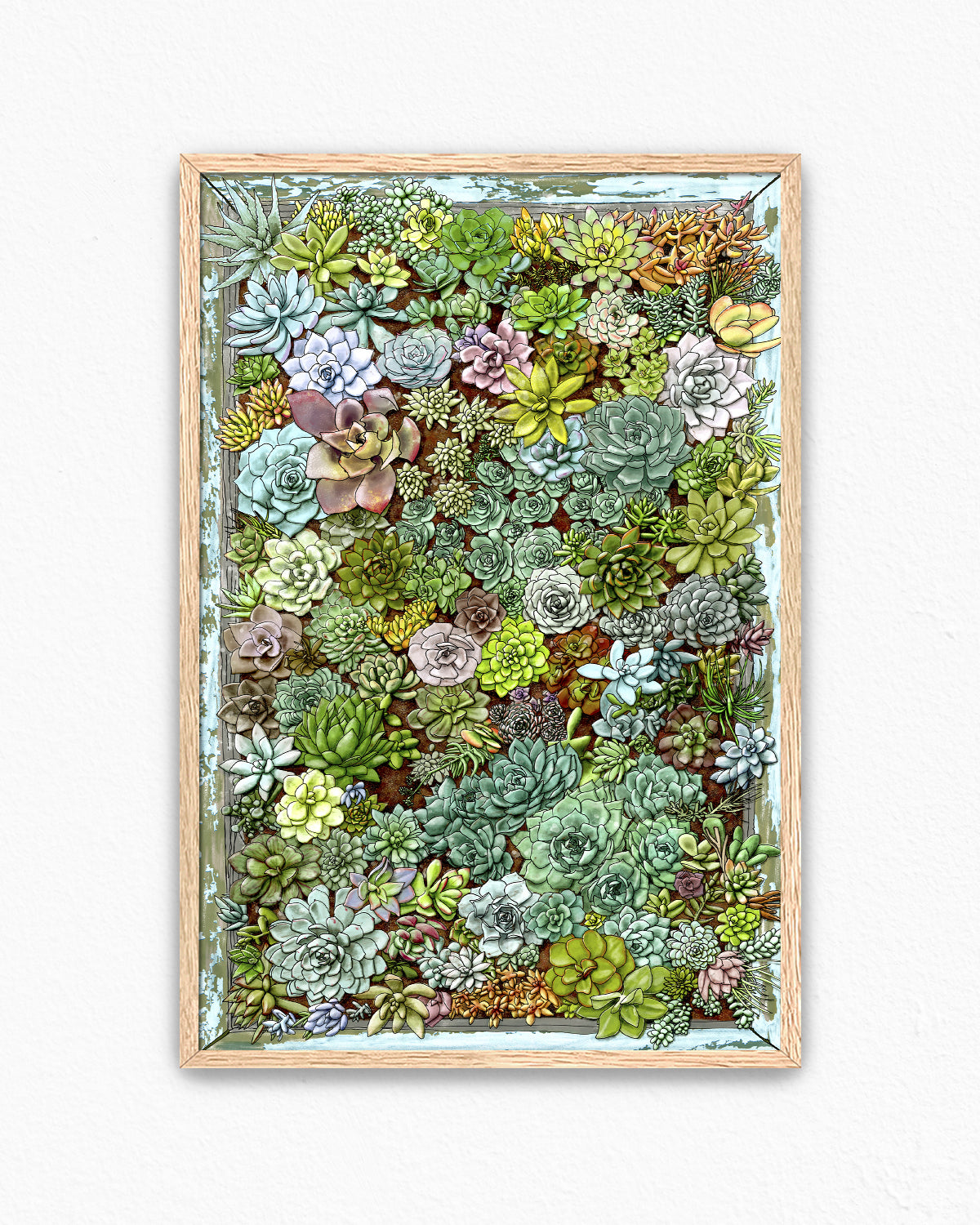 Succulent living wall art by Jen Montgomery.