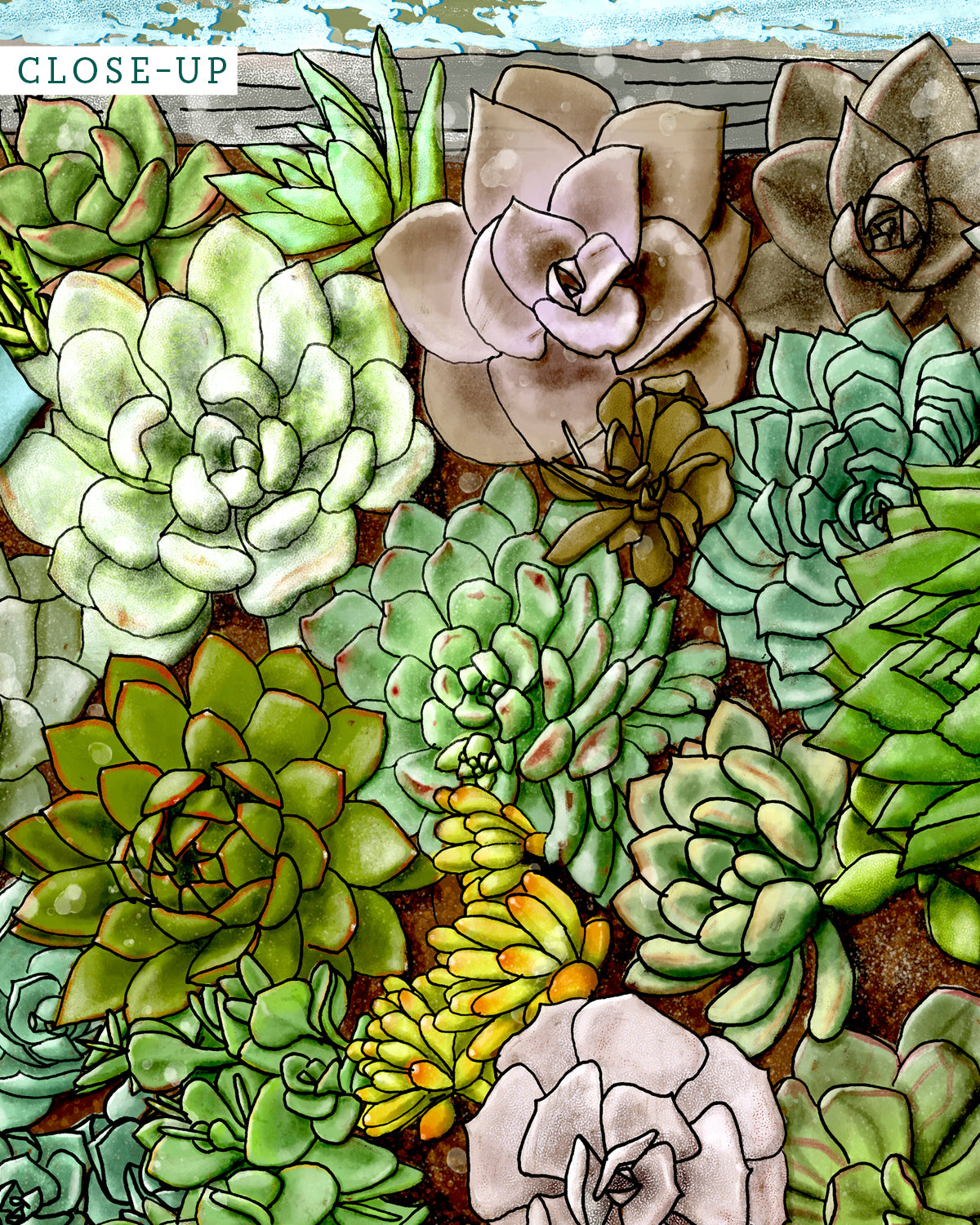 Close-up of a Succulent living wall art by Jen Montgomery.