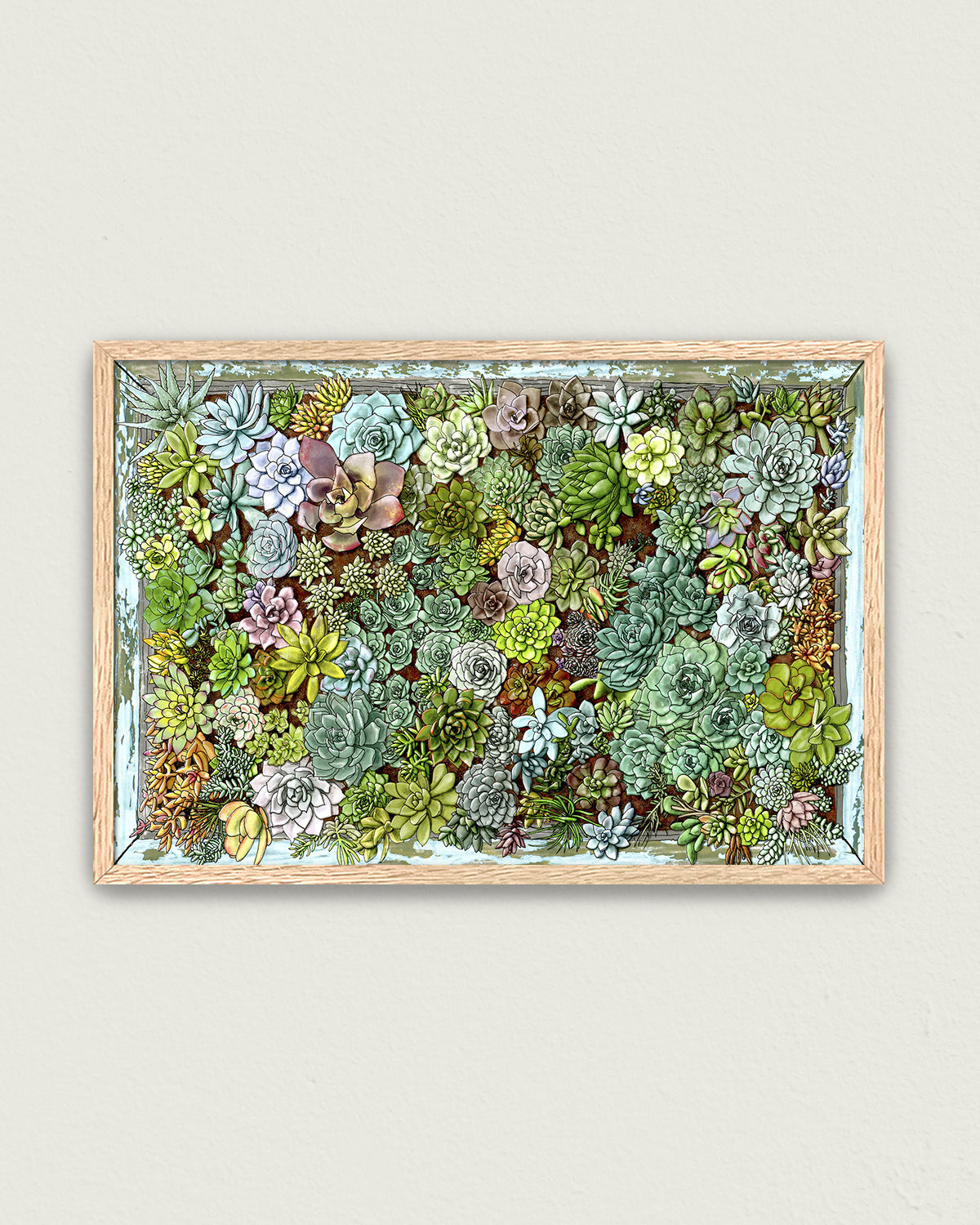 Succulent living wall art by Jen Montgomery.