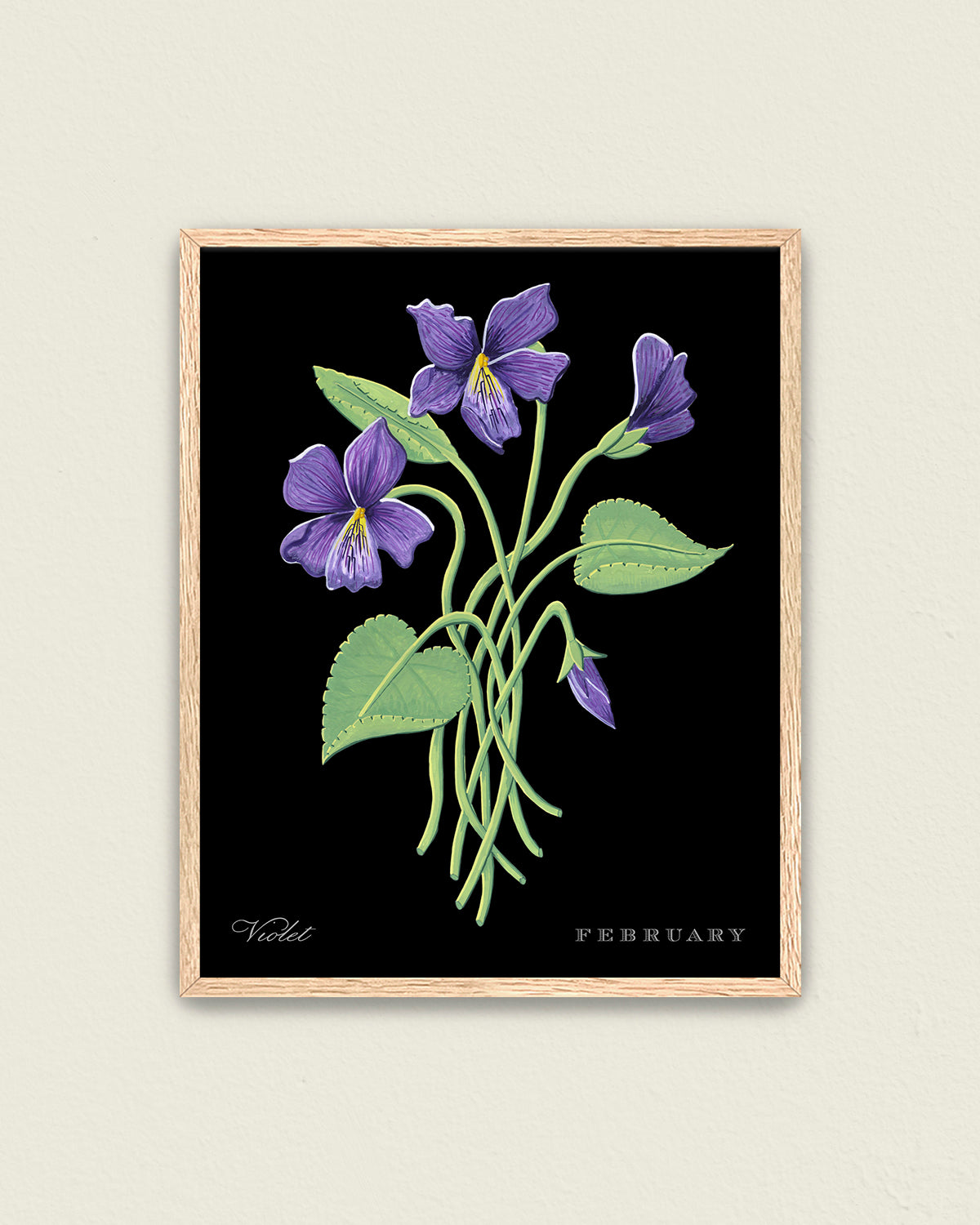 Violet (February) birth flower fine art print, classic botanical style on black background. Oak frame available.