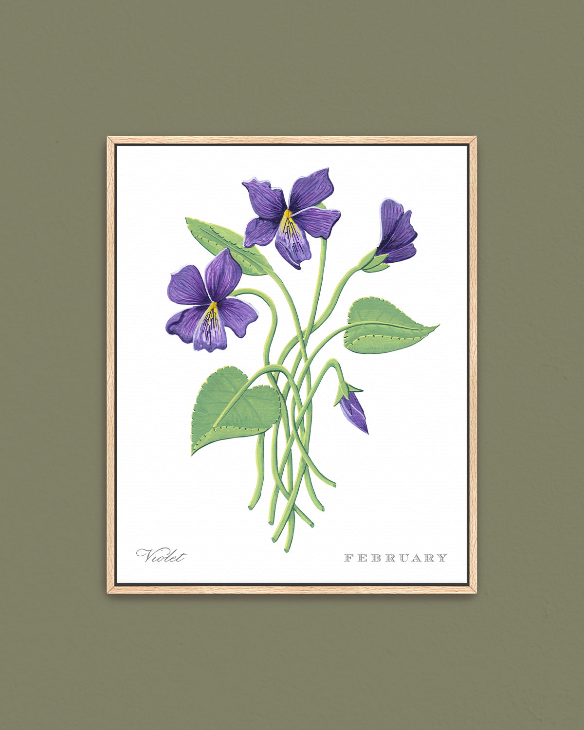 Violet (February) birth flower fine art print, classic botanical style on white background. Oak frame available.
