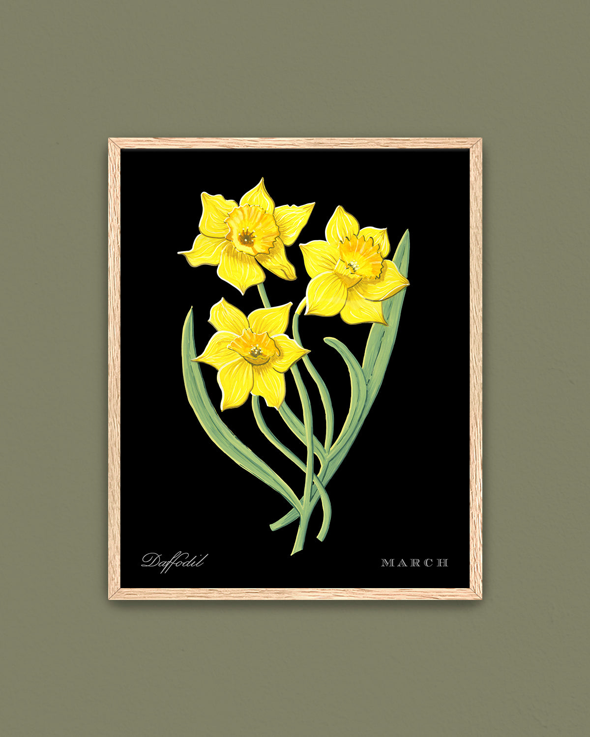 Daffodil (March) birth flower fine art print, classic botanical style on black background. Oak frame available.