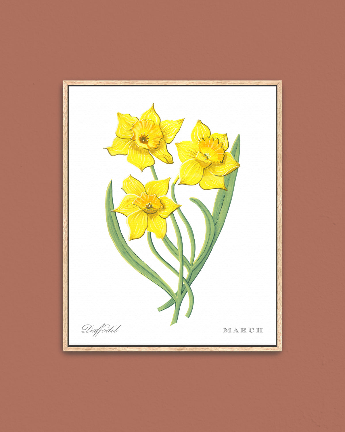 Daffodil (March) birth flower fine art print, classic botanical style on white background. Oak frame available.