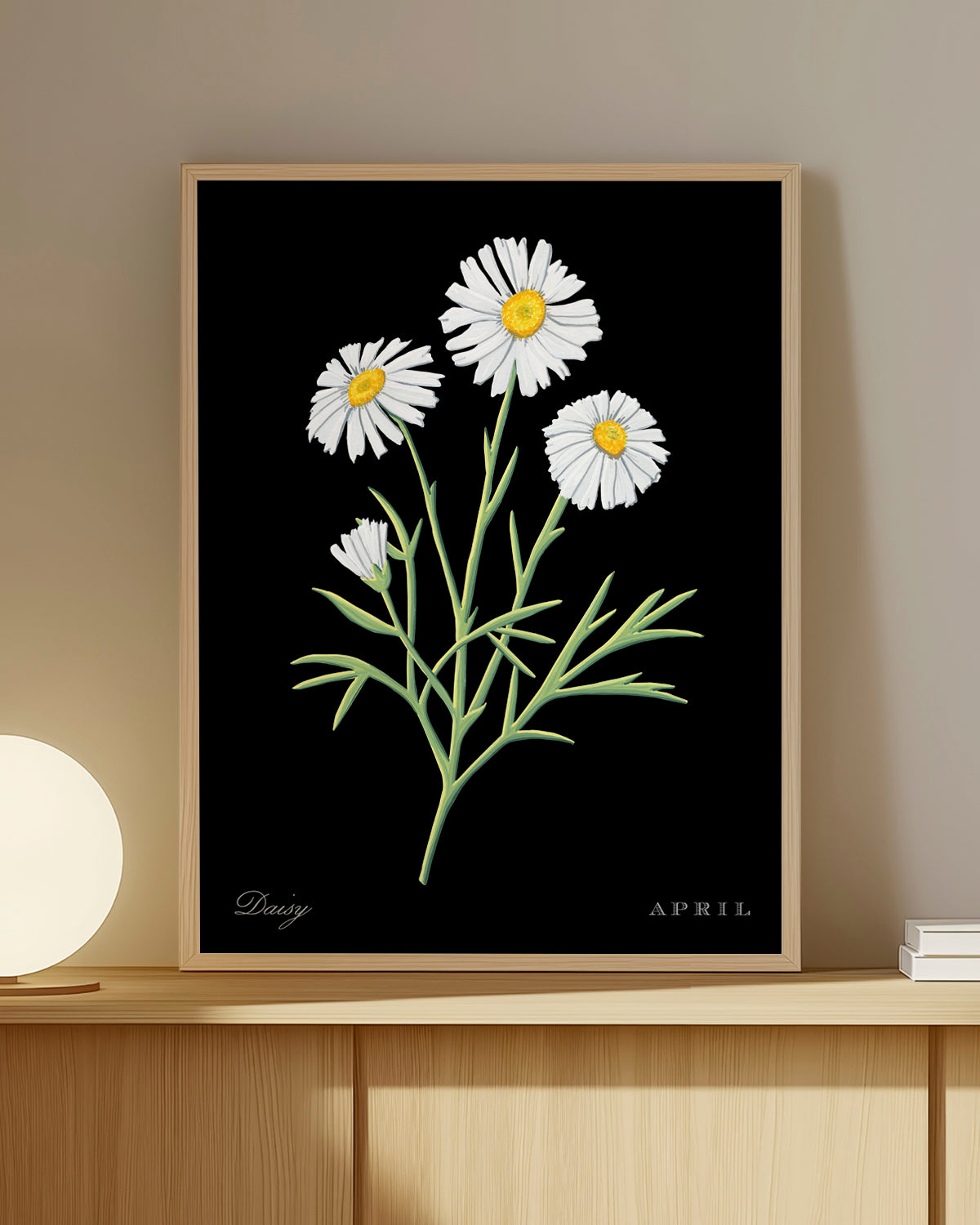 Daisy (April) birth flower fine art print, classic botanical style on black background. Oak frame available.