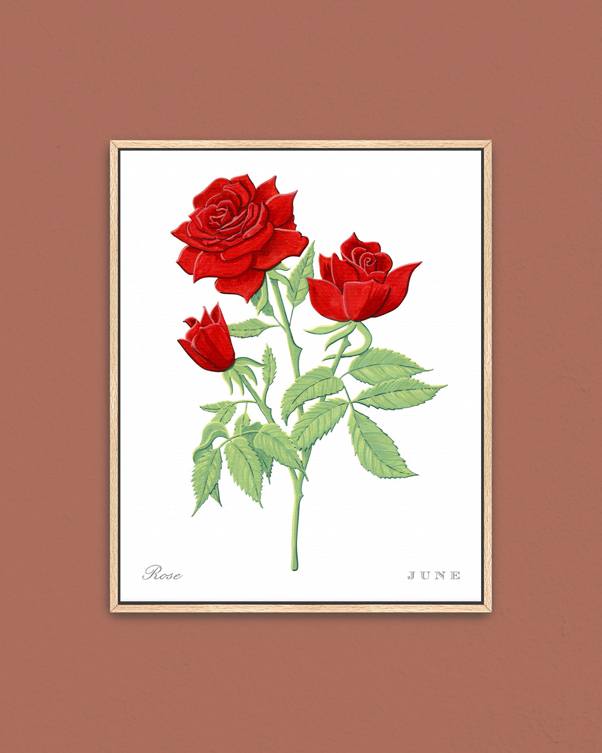 Rose (June) birth flower fine art print, classic botanical style on white background. Oak frame available.