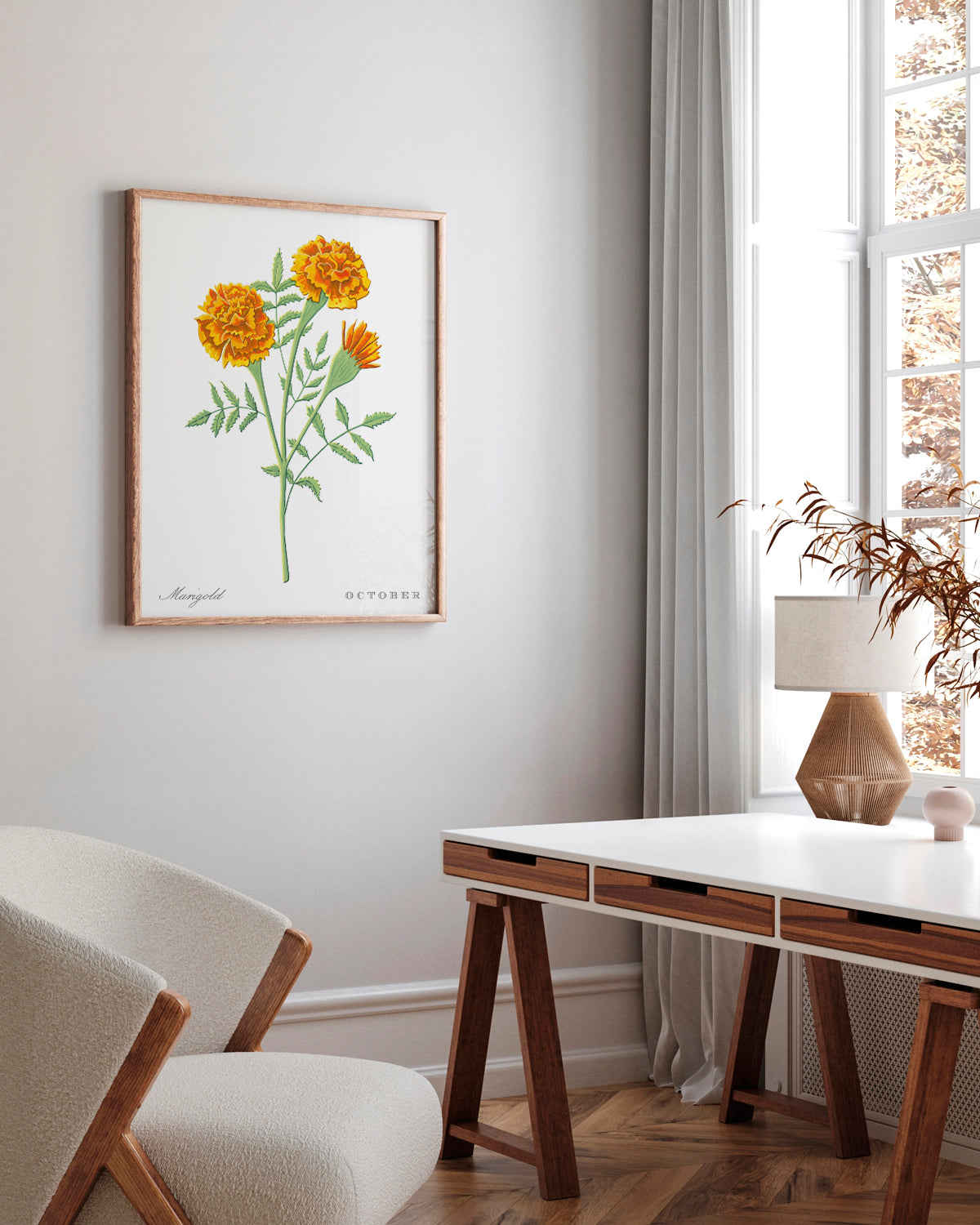 Marigold (October) birth flower fine art print, classic botanical style on white background. Oak frame available.