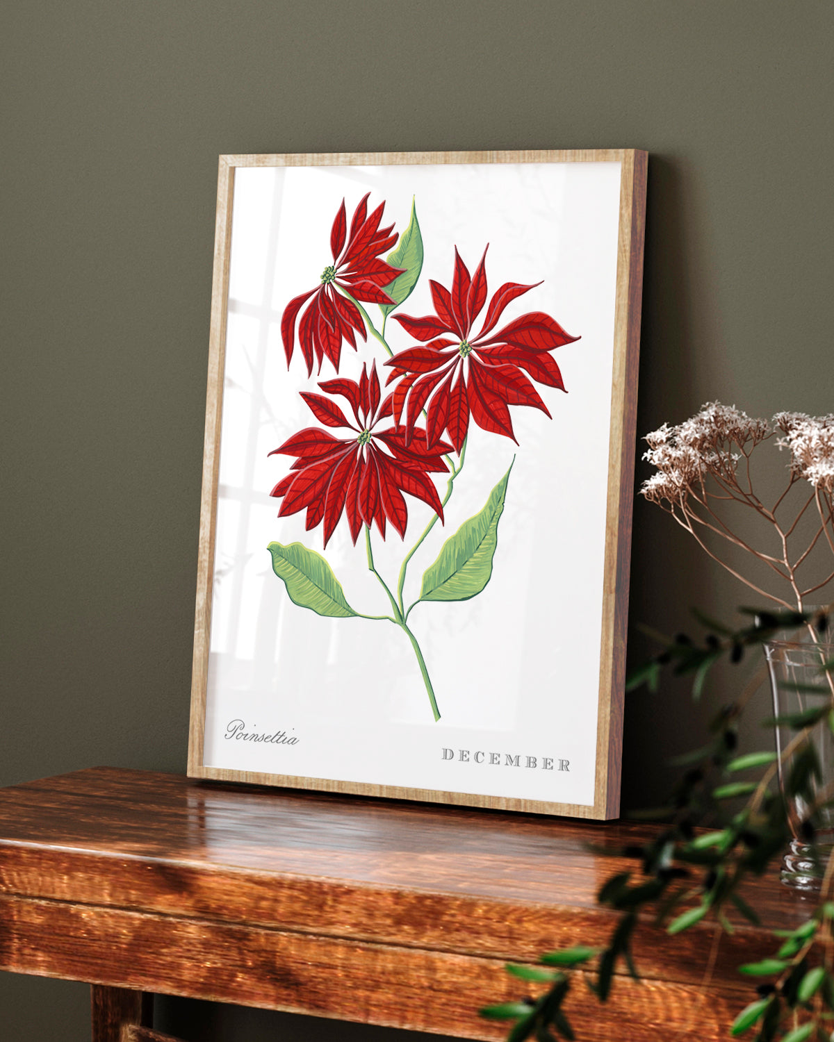 Poinsettia (December) birth flower fine art print, classic botanical style on white background. Oak frame available.