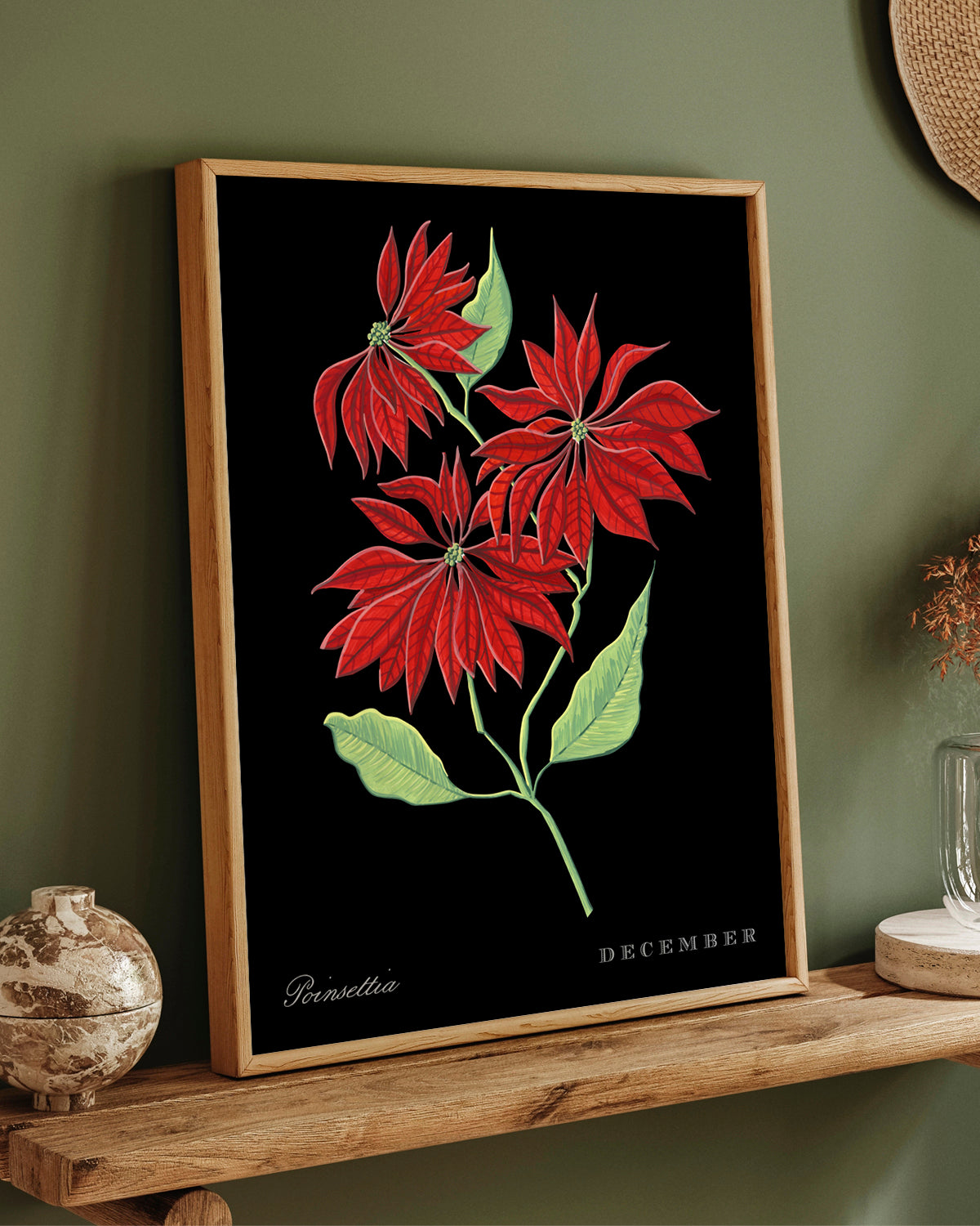 Poinsettia (December) birth flower fine art print, classic botanical style on black background. Oak frame available.