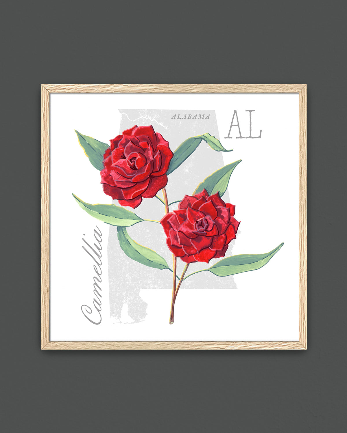 Camellia (Alabama) state flower fine art print, classic botanical style on white background. Oak frame available.