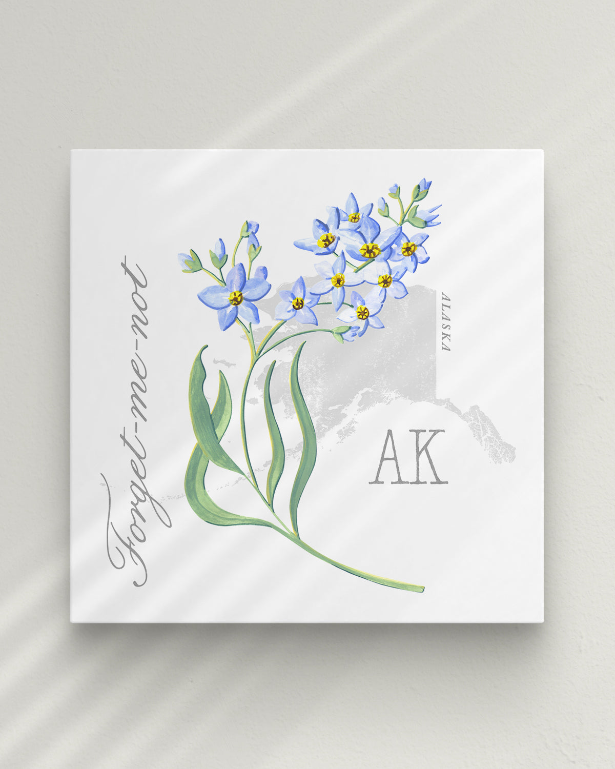 Forget-me-Not (Alaska) state flower fine art print, classic botanical style on white background. Oak frame available.