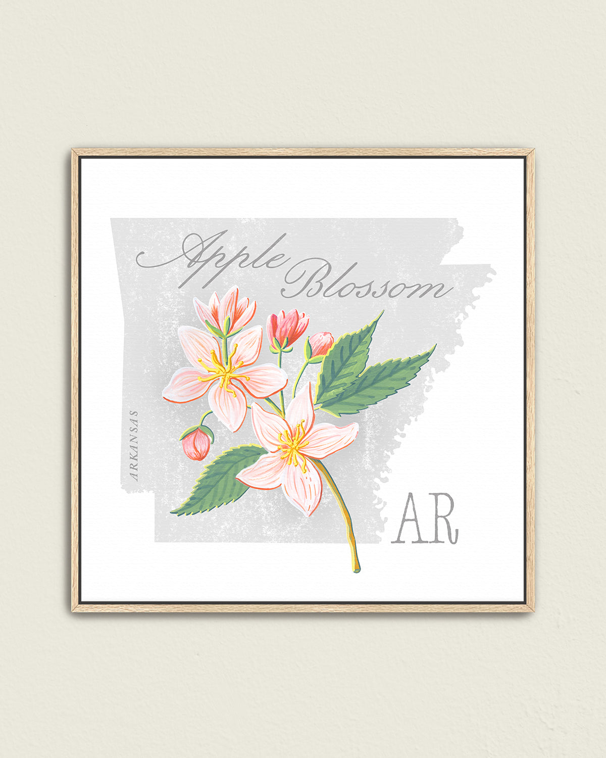 Apple Blossom (Arkansas) state flower fine art print, classic botanical style on white background. Oak frame available.