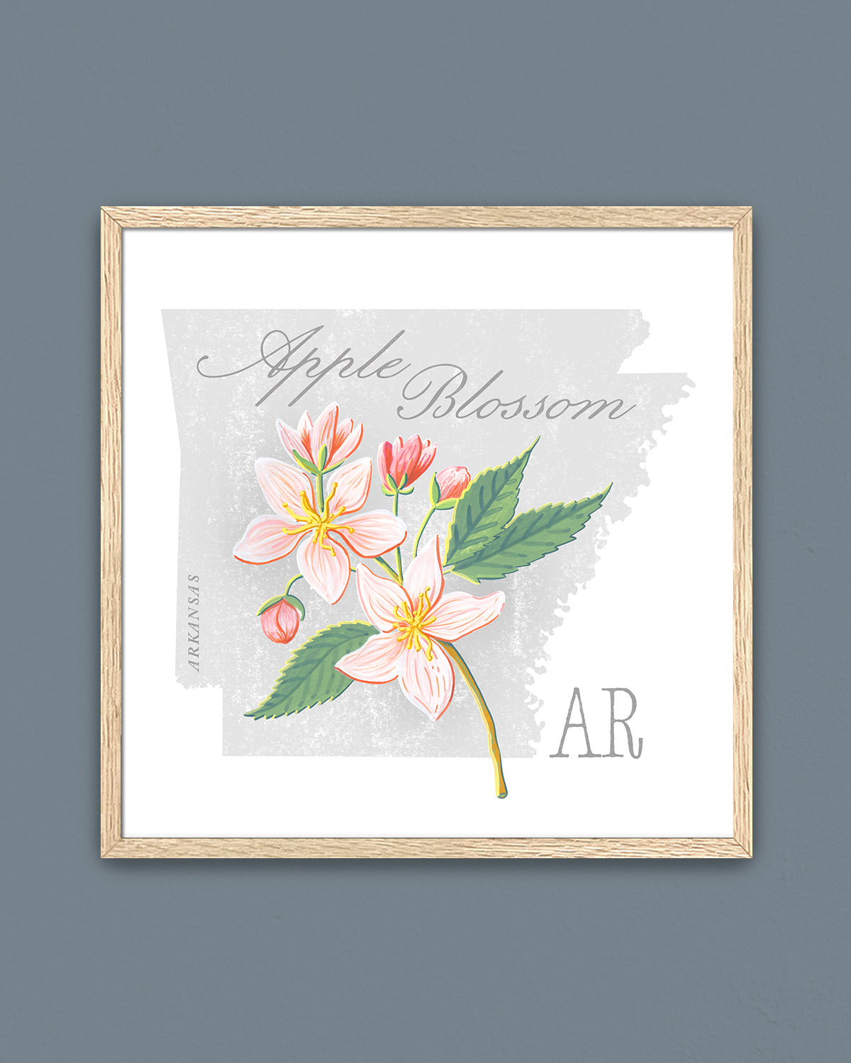 Apple Blossom (Arkansas) state flower fine art print, classic botanical style on white background. Oak frame available.