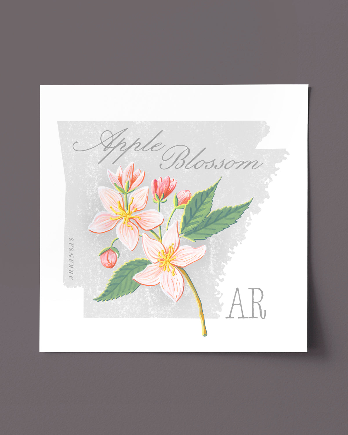 Apple Blossom (Arkansas) state flower fine art print, classic botanical style on white background. Oak frame available.