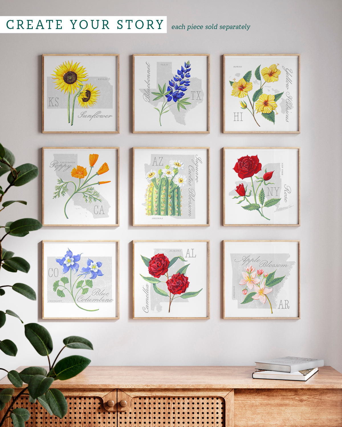 Apple Blossom (Arkansas) state flower fine art print, classic botanical style on white background. Oak frame available.