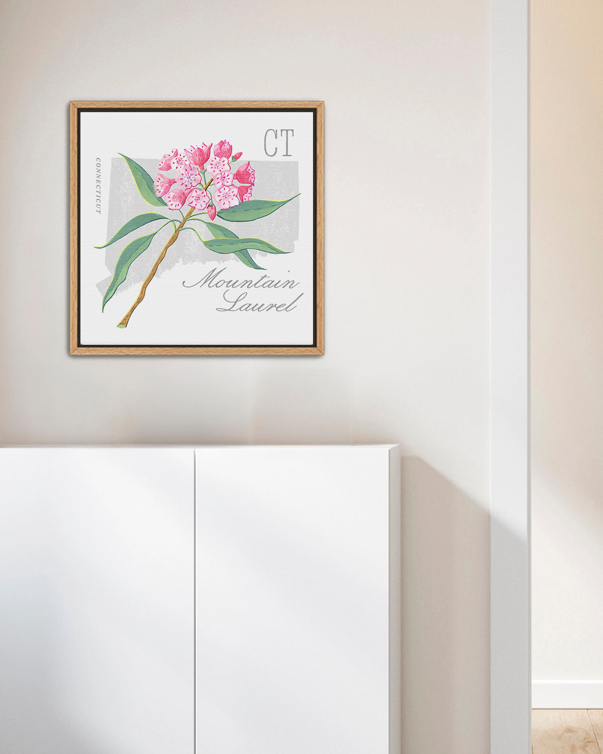 Mountain Laurel (Connecticut) state flower fine art print, classic botanical style on white background. Oak frame available.