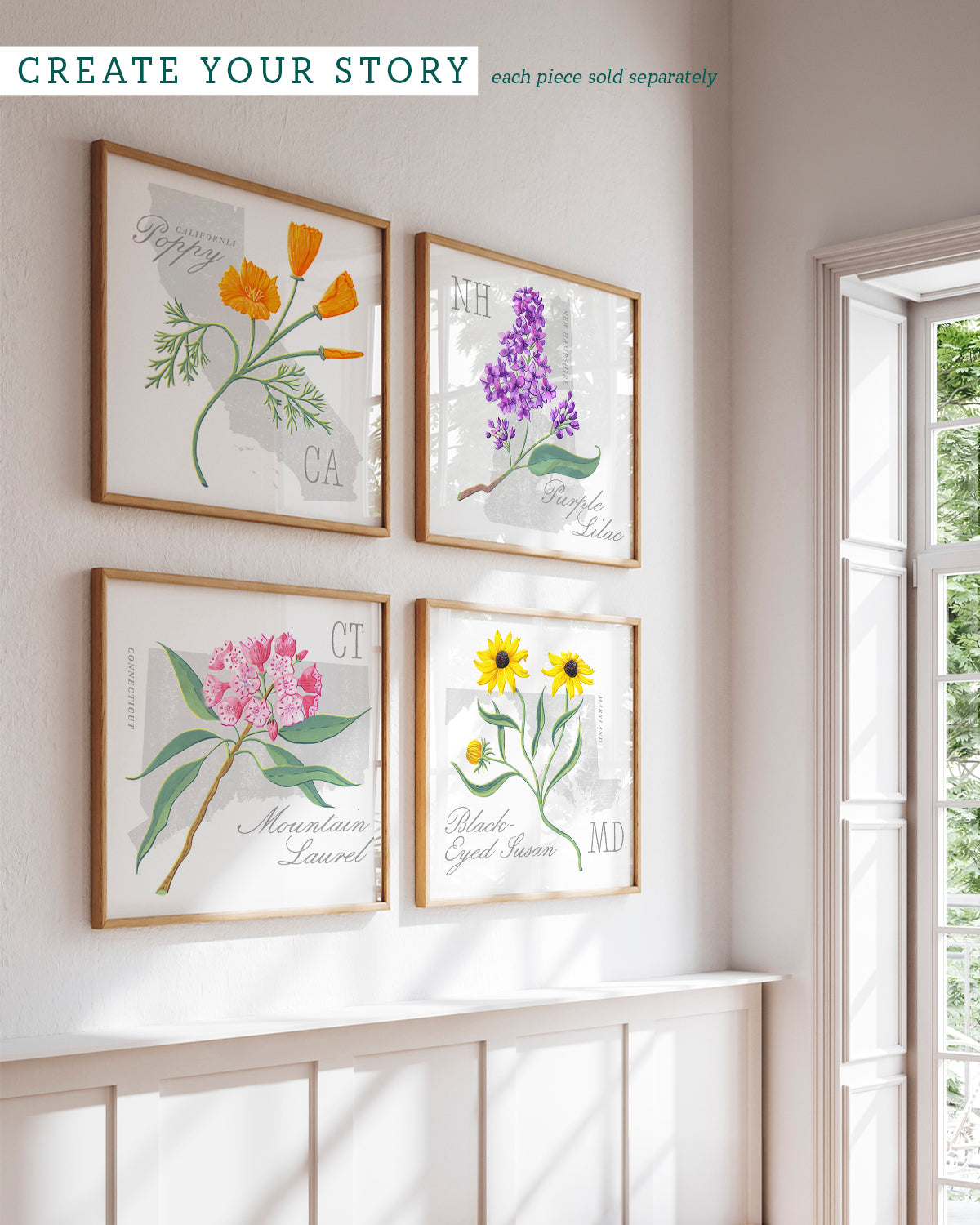 Mountain Laurel (Connecticut) state flower fine art print, classic botanical style on white background. Oak frame available.