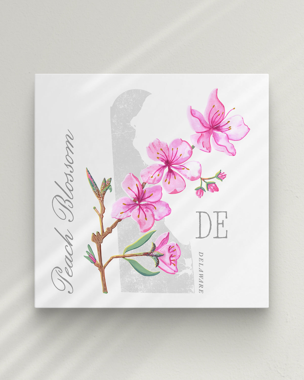 Peach Blossom (Delaware) state flower fine art print, classic botanical style on white background. Oak frame available.