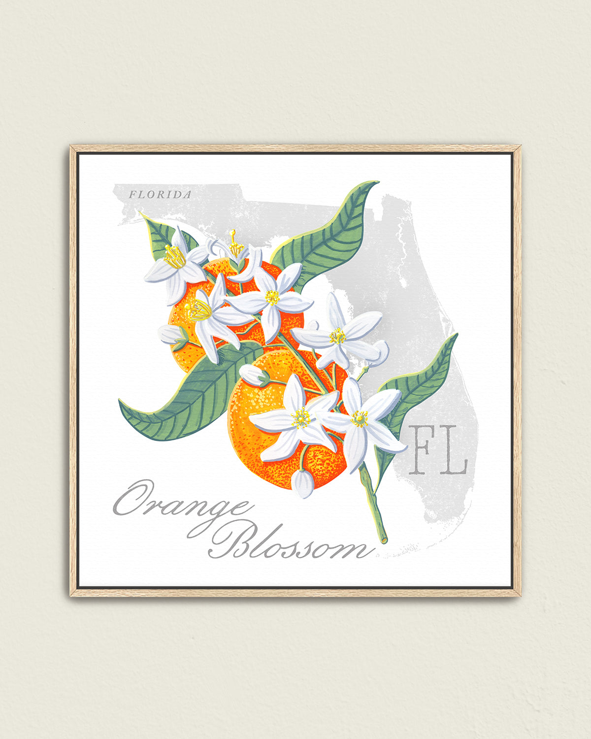 Orange Blossom (Florida) state flower fine art print, classic botanical style on white background. Oak frame available.