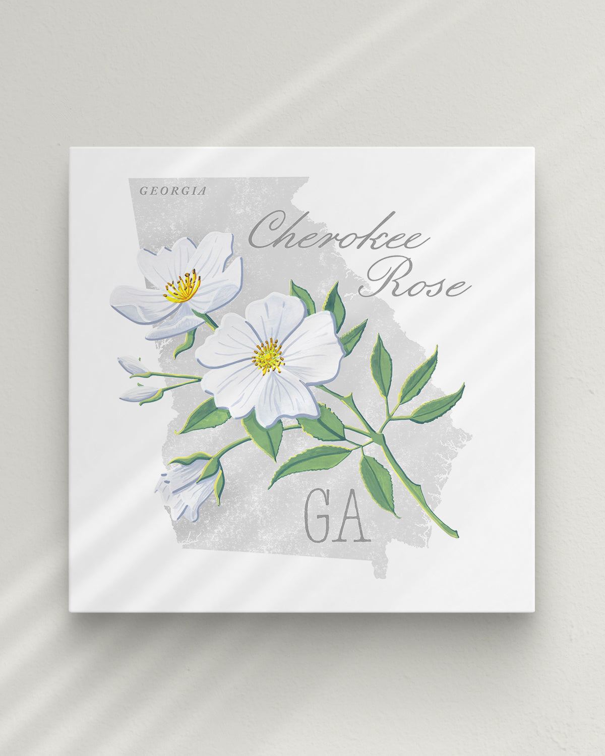 Cherokee Rose (Georgia) state flower fine art print, classic botanical style on white background. Oak frame available.