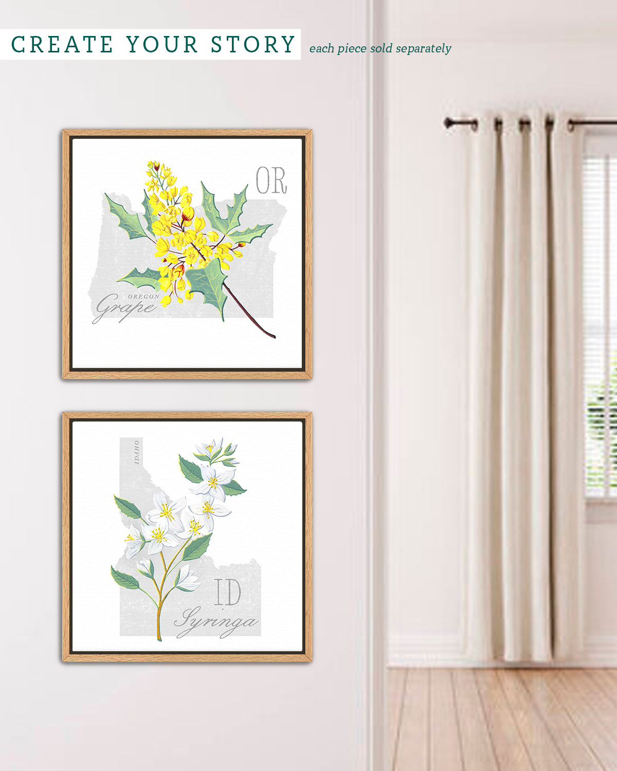 Syringa (Idaho) state flower fine art print, classic botanical style on white background. Oak frame available.