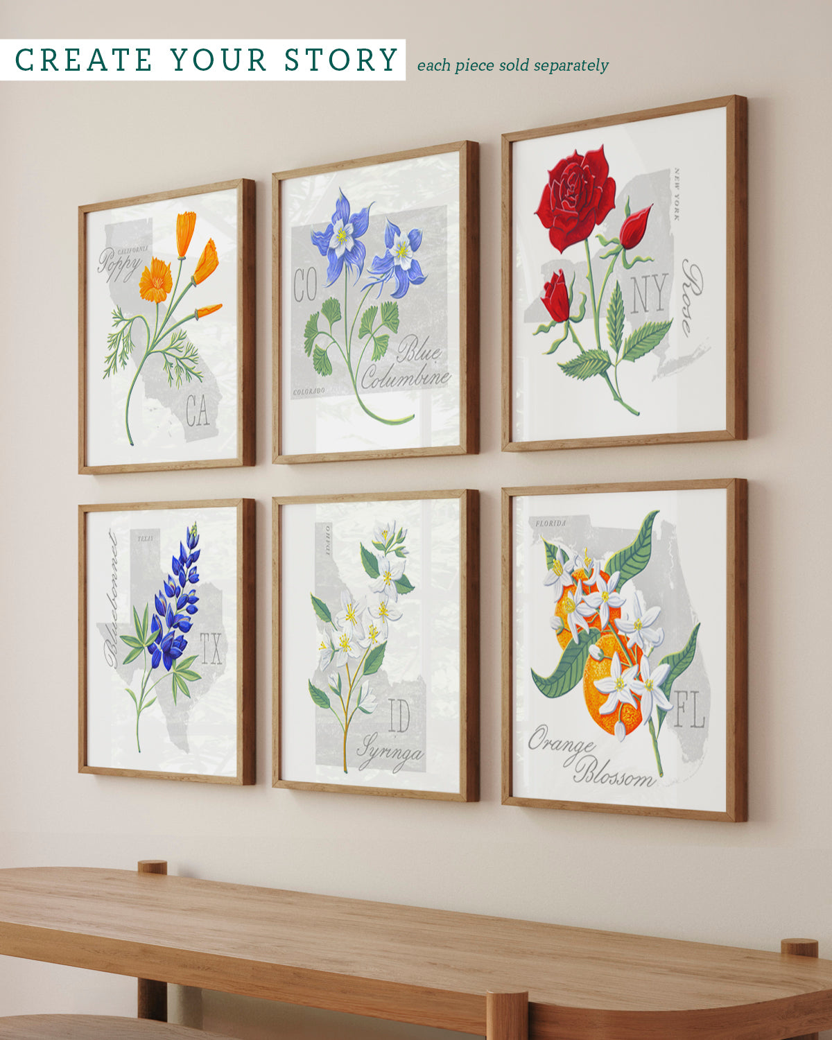 Syringa (Idaho) state flower fine art print, classic botanical style on white background. Oak frame available.