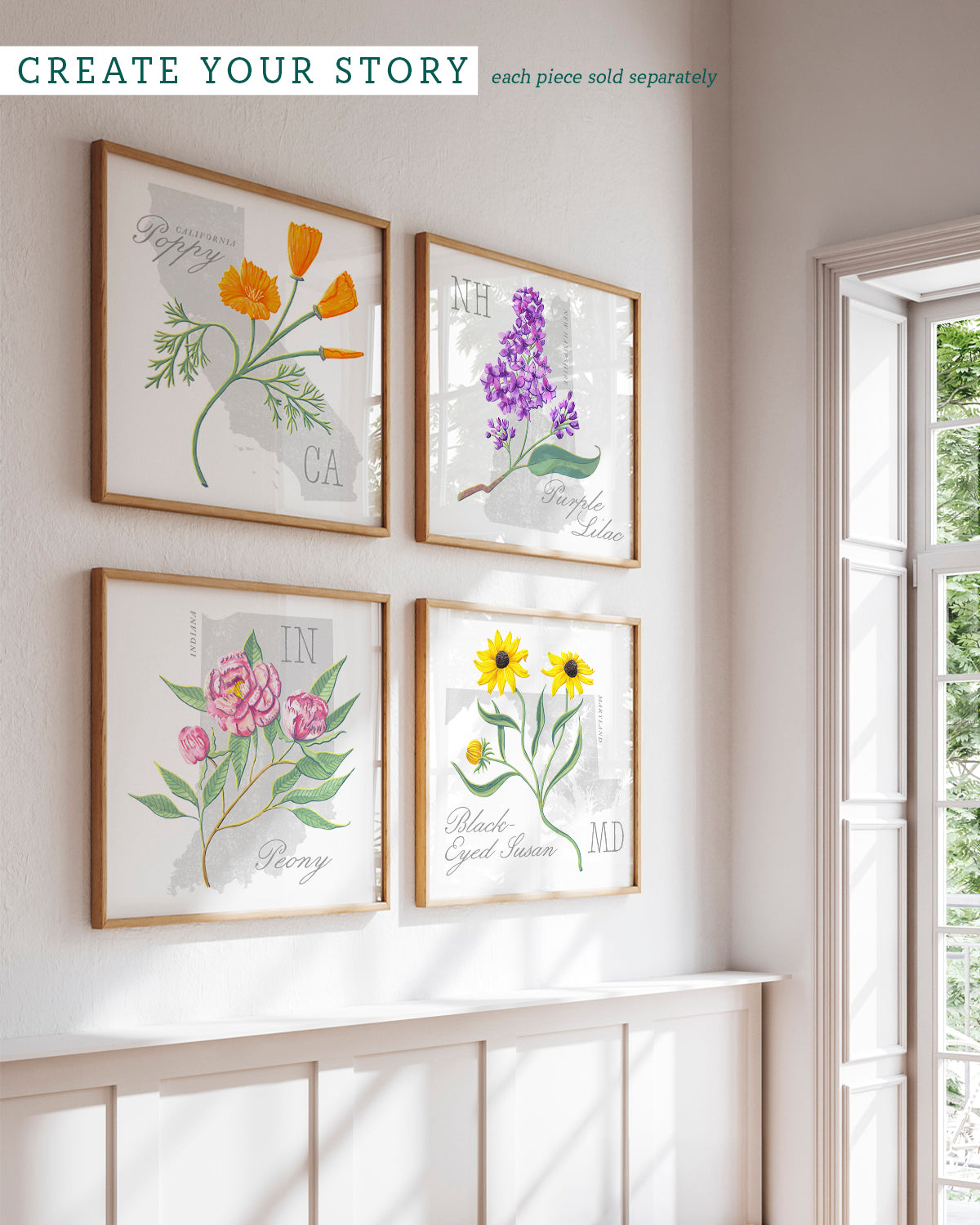 Indiana (Peony) state flower fine art print, classic botanical style on white background. Oak frame available.