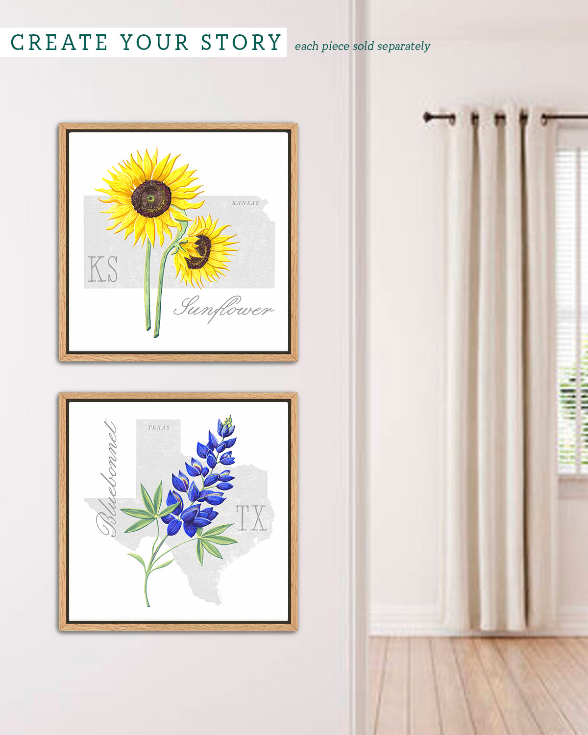 Kansas (Sunflower) state flower fine art print, classic botanical style on white background. Oak frame available.