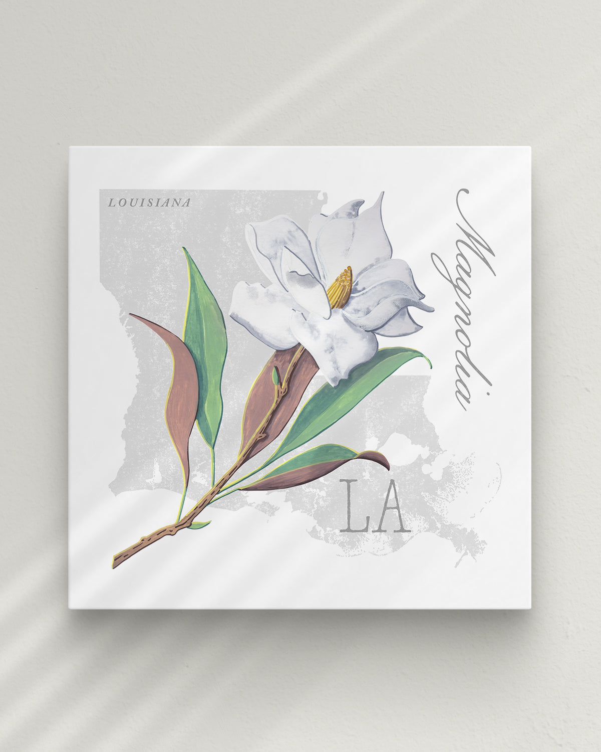 Louisiana (Magnolia) state flower fine art print, classic botanical style on white background. Oak frame available.