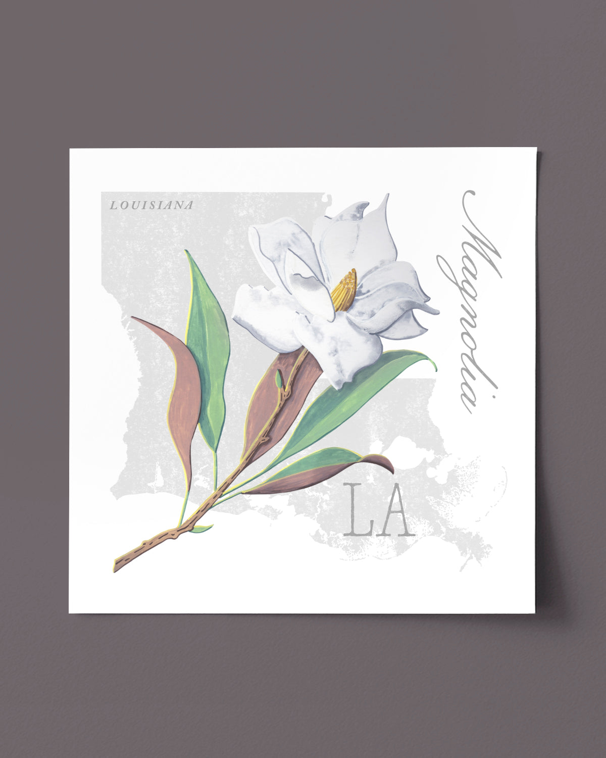 Louisiana (Magnolia) state flower fine art print, classic botanical style on white background. Oak frame available.