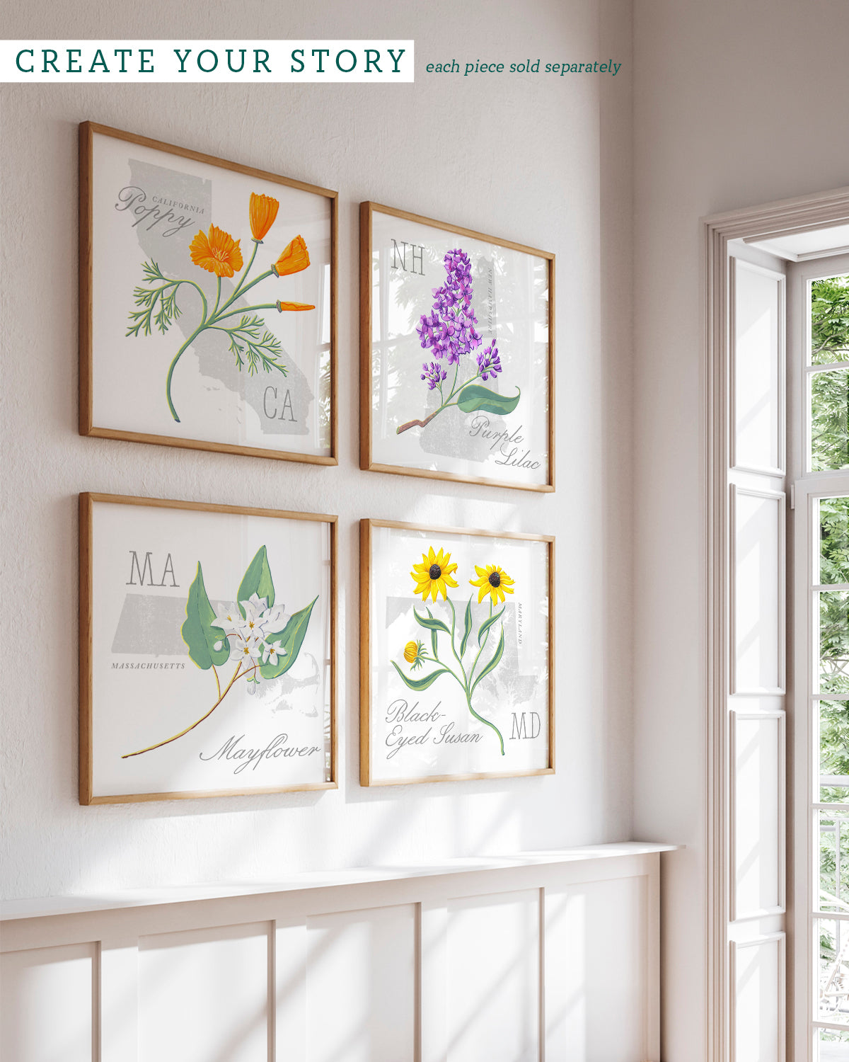 Massachusetts (Mayflower) state flower fine art print, classic botanical style on white background. Oak frame available.