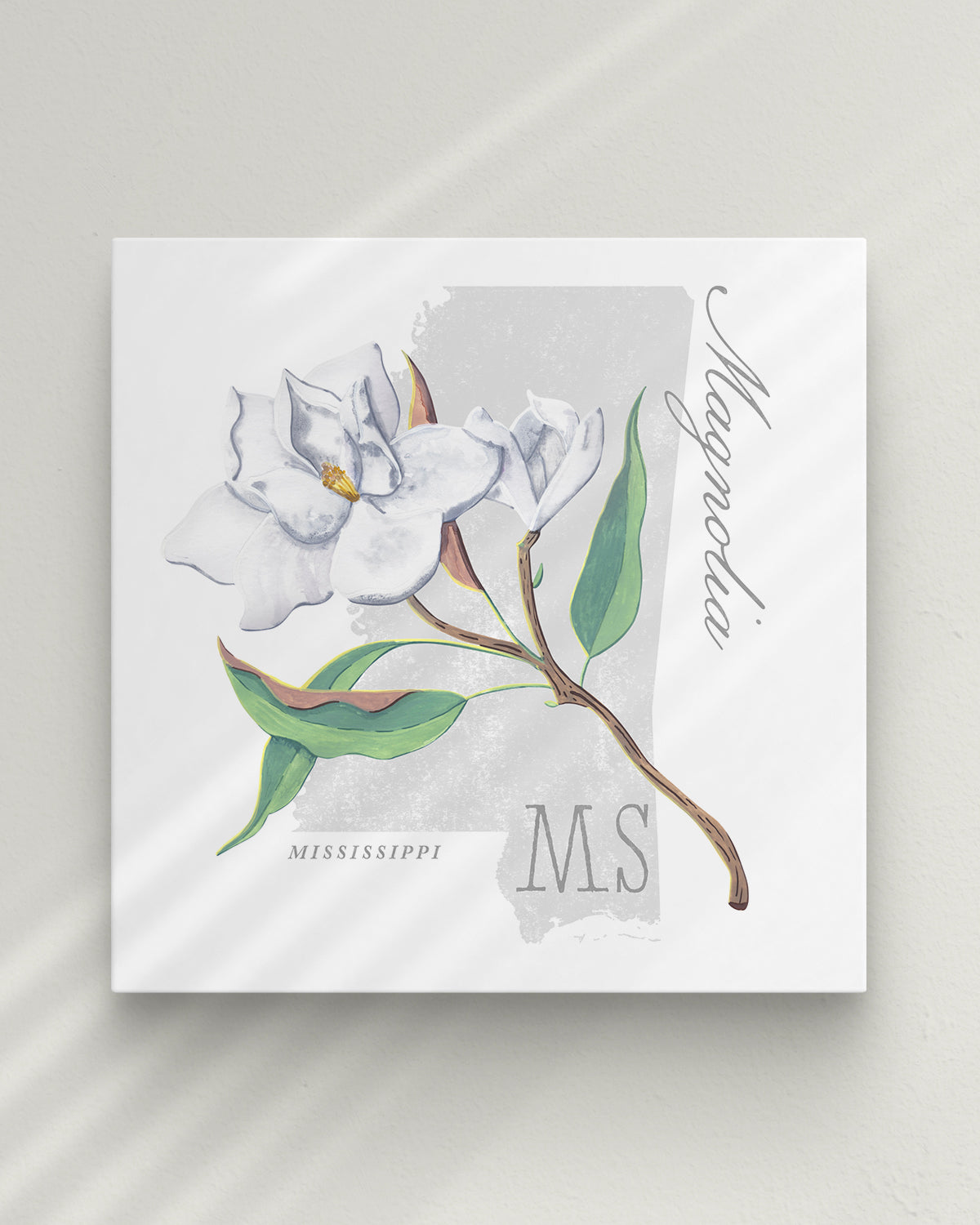 Mississippi (Magnolia) state flower fine art print, classic botanical style on white background. Oak frame available.