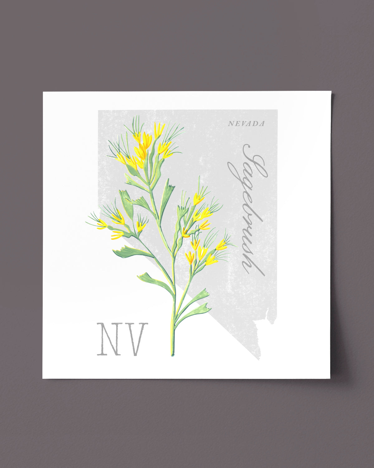 Nevada (Sagebrush) state flower fine art print, classic botanical style on white background. Oak frame available.