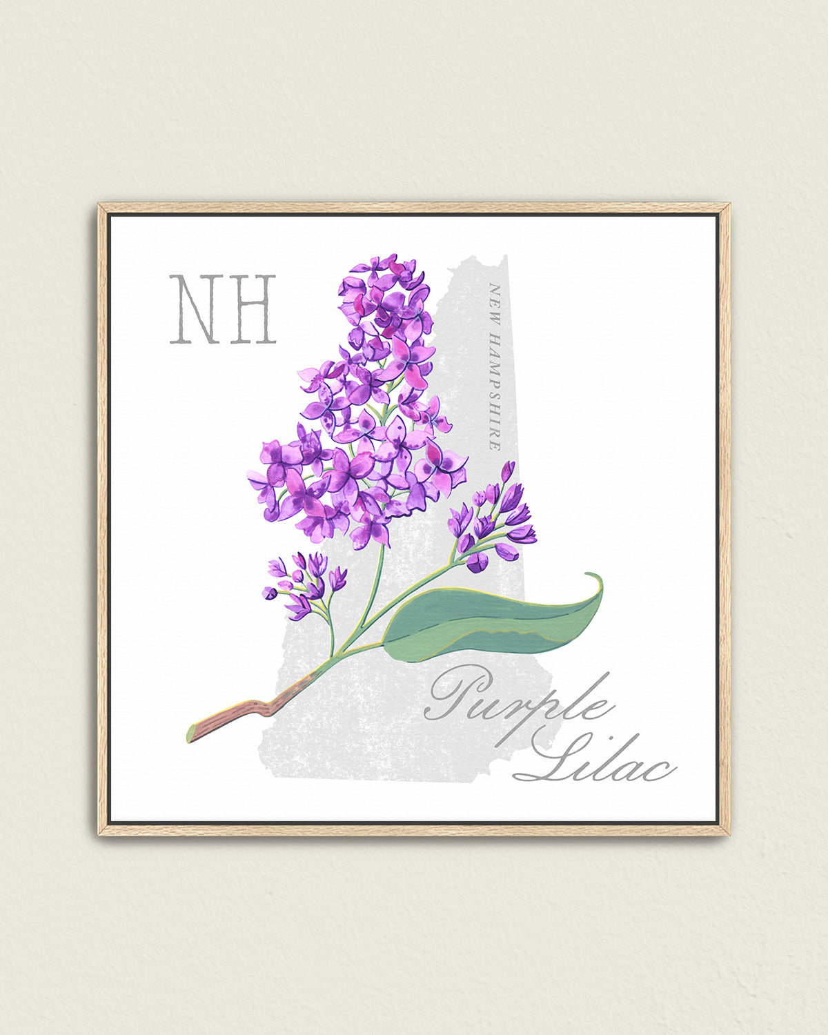 New Hampshire (Purple Lilac) state flower fine art print, classic botanical style on white background. Oak frame available.