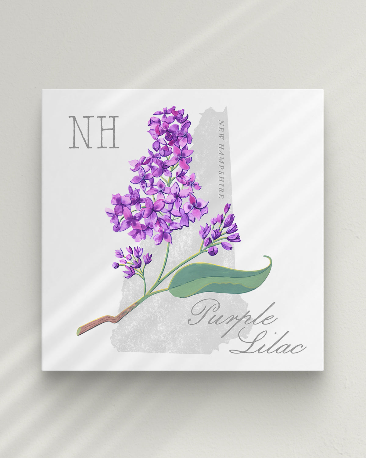 New Hampshire (Purple Lilac) state flower fine art print, classic botanical style on white background. Oak frame available.