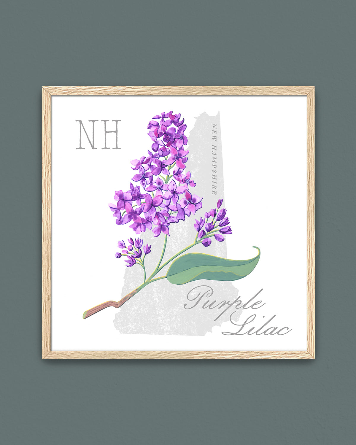 New Hampshire (Purple Lilac) state flower fine art print, classic botanical style on white background. Oak frame available.