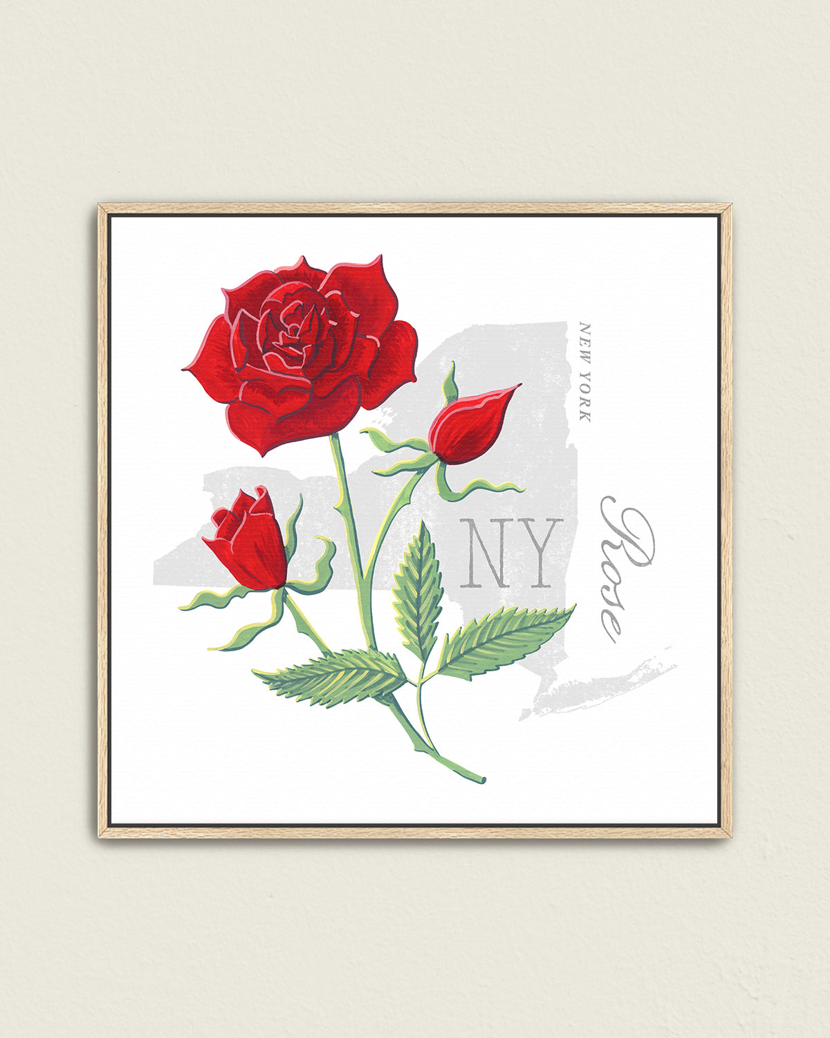 New York (Rose) state flower fine art print, classic botanical style on white background. Oak frame available.