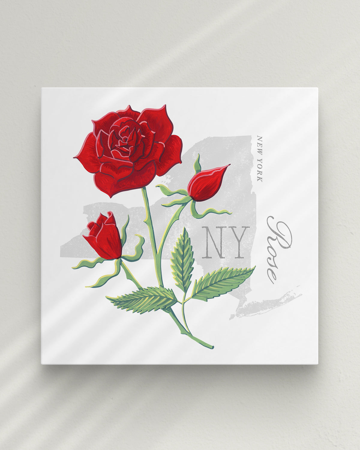 New York (Rose) state flower fine art print, classic botanical style on white background. Oak frame available.