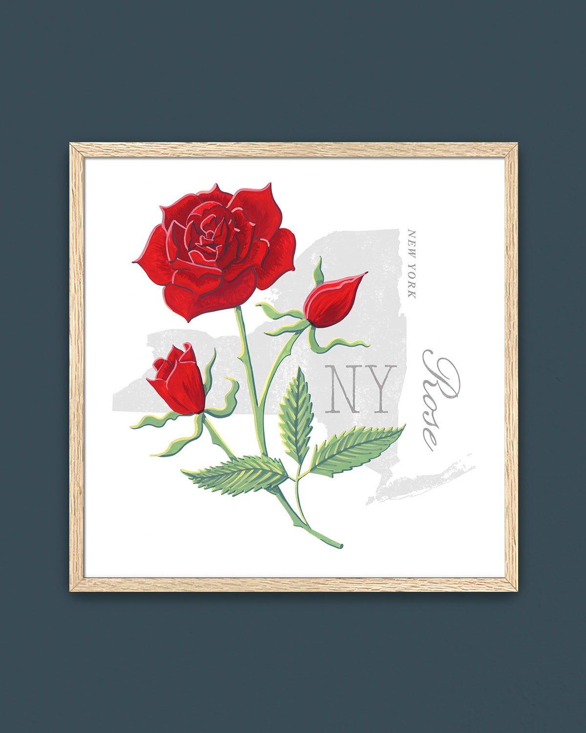 New York (Rose) state flower fine art print, classic botanical style on white background. Oak frame available.