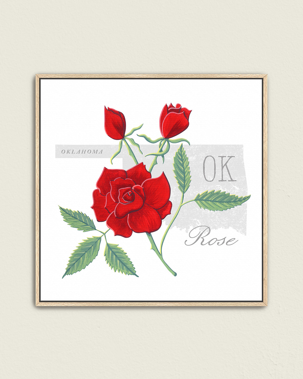 Oklahoma (Rose) state flower fine art print, classic botanical style on white background. Oak frame available.