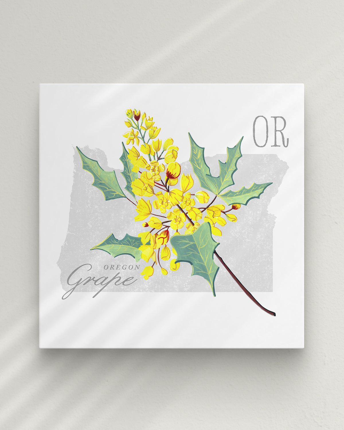 Oregon (Oregon Grape) state flower fine art print, classic botanical style on white background. Oak frame available.