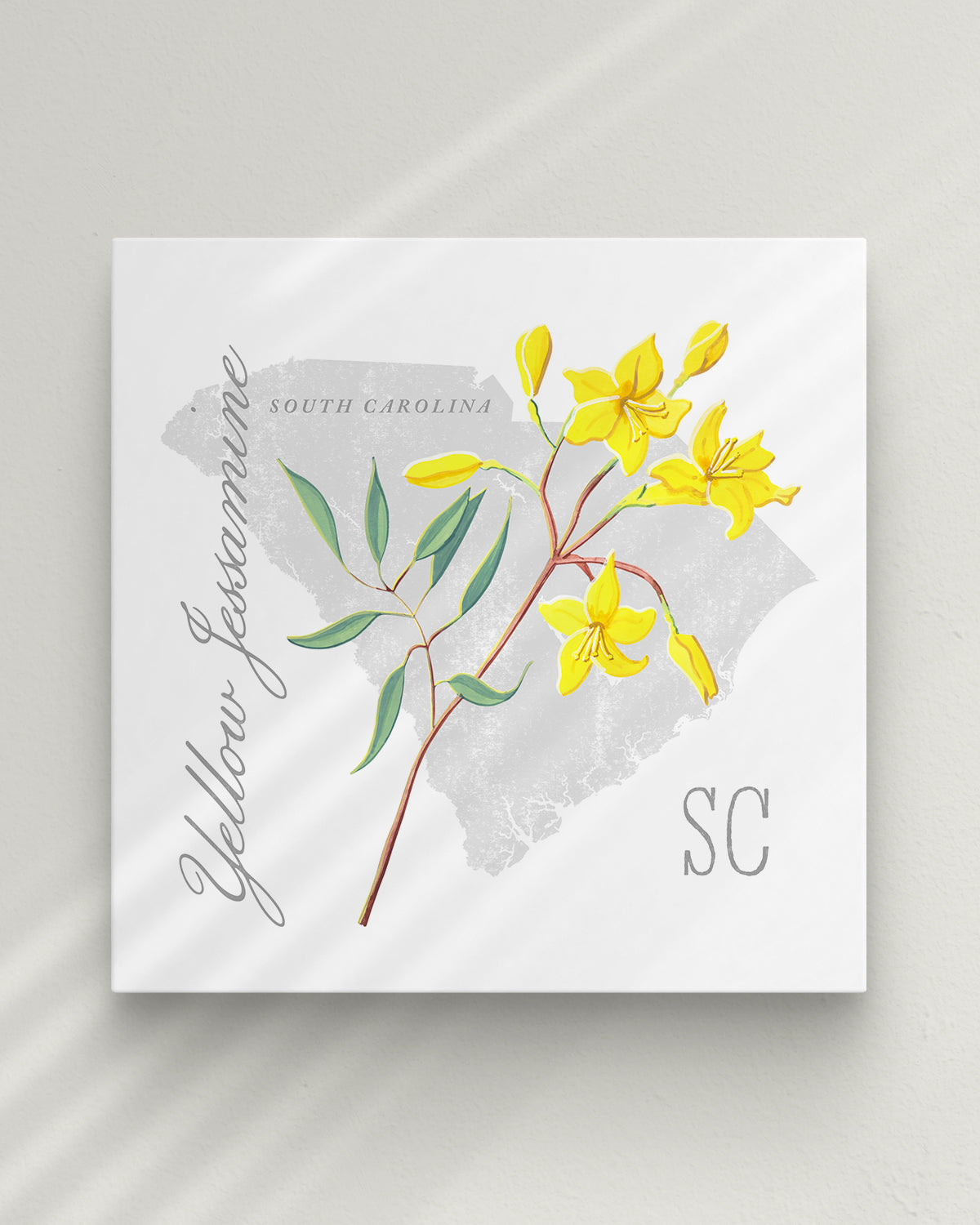 South Carolina (Yellow Jessamine) state flower fine art print, classic botanical style on white background. Oak frame available.