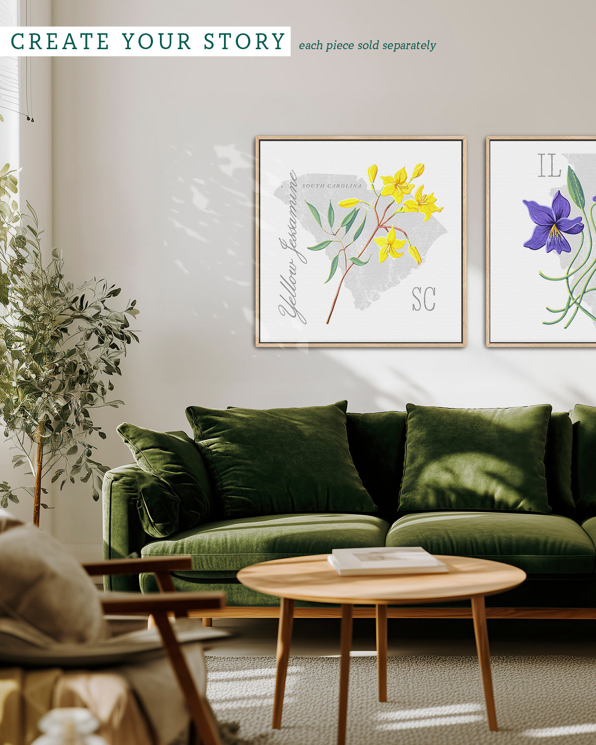 South Carolina (Yellow Jessamine) state flower fine art print, classic botanical style on white background. Oak frame available.