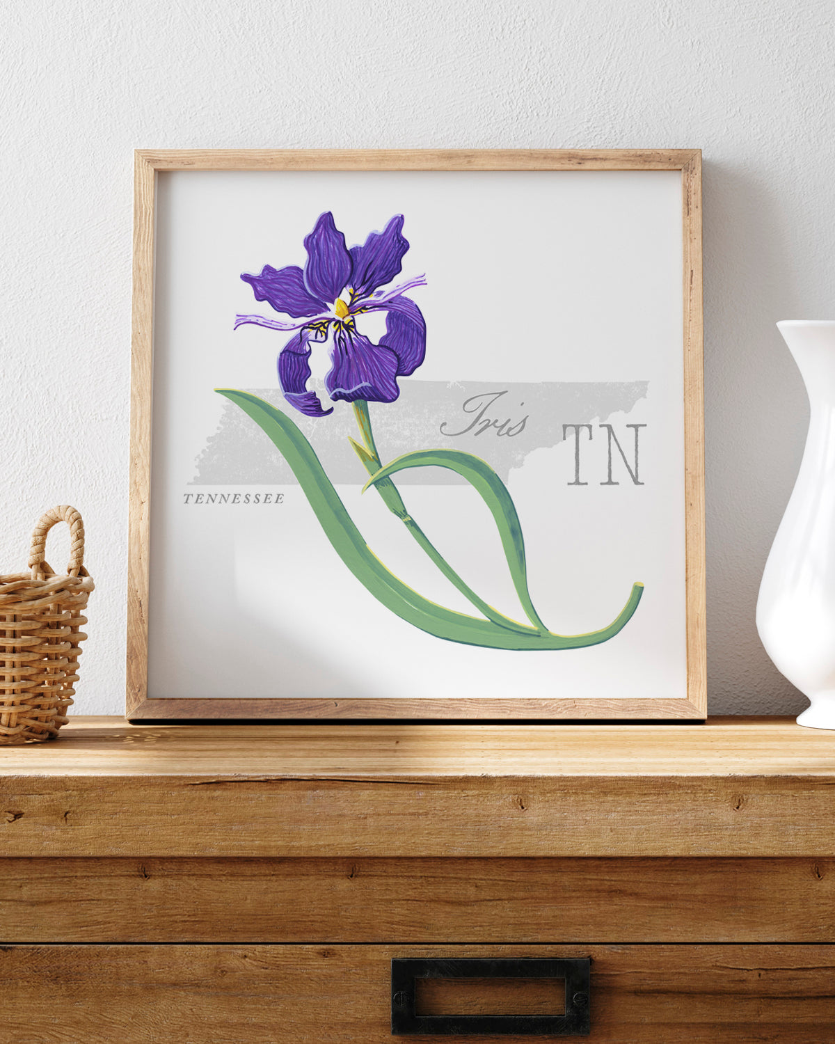 Tennessee (Iris) state flower fine art print, classic botanical style on white background. Oak frame available.