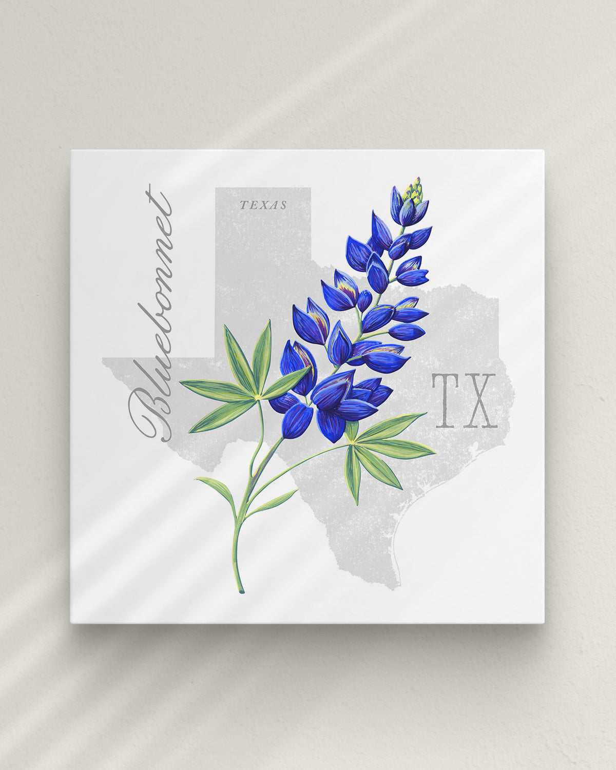 Texas (Bluebonnet) state flower fine art print, classic botanical style on white background. Oak frame available.