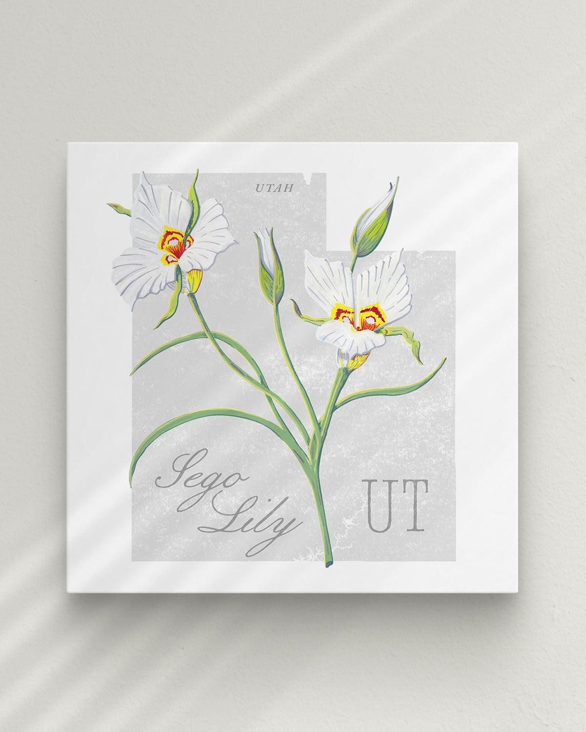 Utah (Sego Lily) state flower fine art print, classic botanical style on white background. Oak frame available.