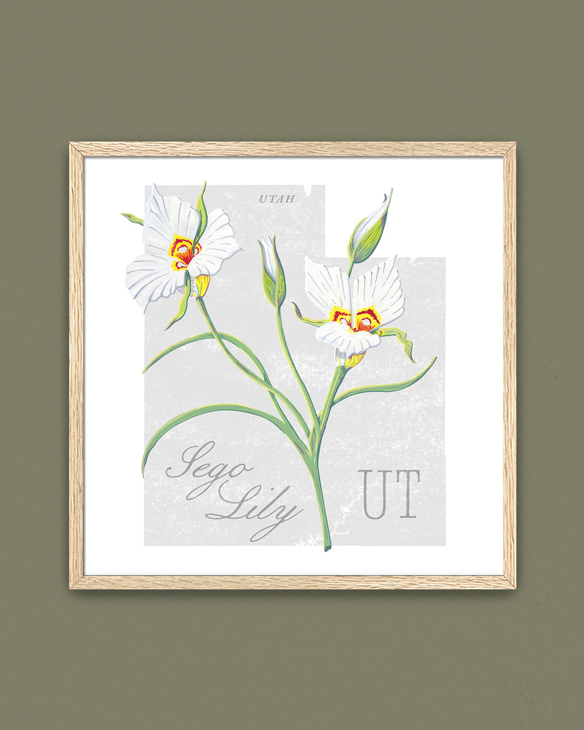 Utah (Sego Lily) state flower fine art print, classic botanical style on white background. Oak frame available.