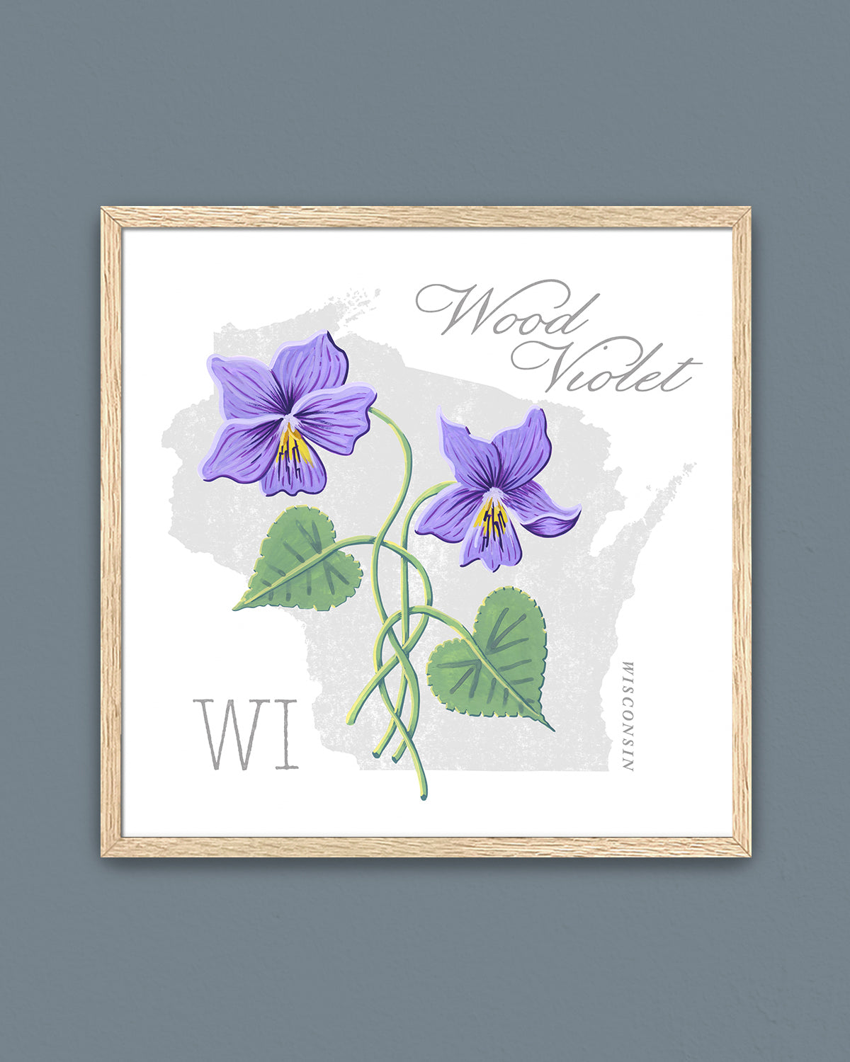 Wisconsin (Wood Violet) state flower fine art print, classic botanical style on white background. Oak frame available.