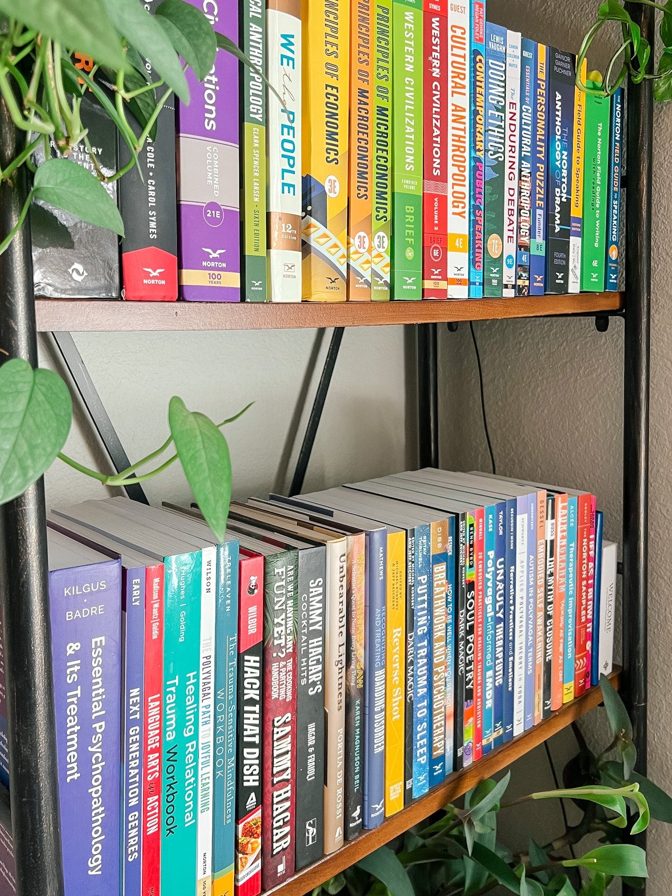 A black metal bookshelf with two wooden shelves filled with colorful books, decorated with green trailing houseplants. The spines of the books show various titles and colors, creating a vibrant multicolor pattern against the black frame of the shelf. These are books Jen Montgomery has designed.